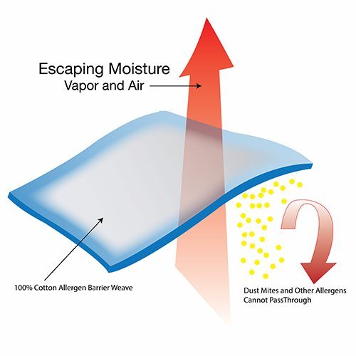 大号 100% 拉丝超细纤维枕套 - 2 件装