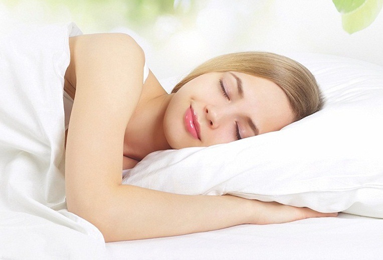 优质 100% 纯棉防臭虫枕套